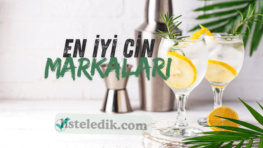 En İyi Cin Markaları